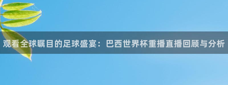 世界杯直播网：观看全球瞩目的足球盛宴：巴西世界杯重播直播回顾与分析