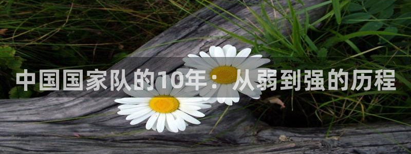 世界杯48支球队赛制：中国国家队的10年：从弱到强的历程