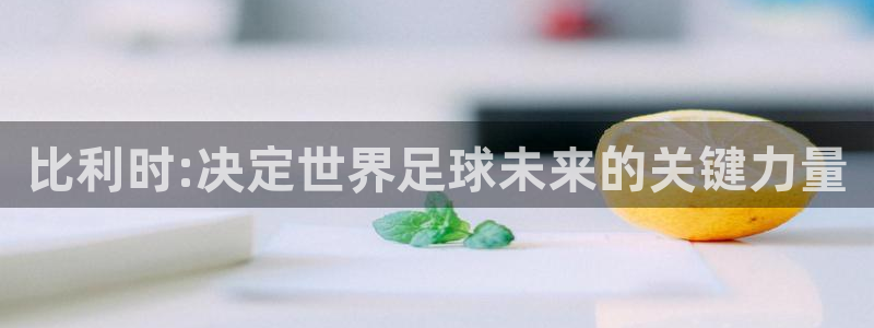 世界杯亚洲区预选赛：比利时:决定世界足球未来的关键力量