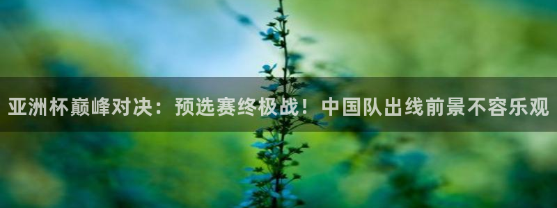 2026年世界杯：亚洲杯巅峰对决：预选赛终极战！中国队出线前景不容乐观